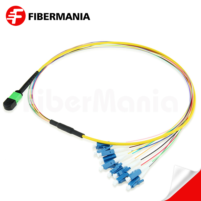 MTP/APC Male to LC Fanout Cable 12 Fibers Single Mode 9/125 1M