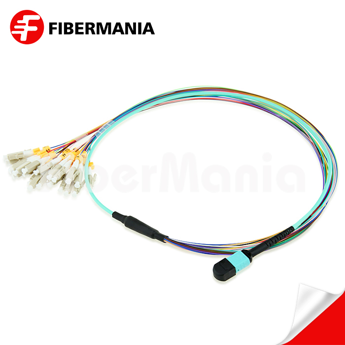 MTP Male to LC Fanout Cable 24 Fibers OM3 50/125 10G 1M