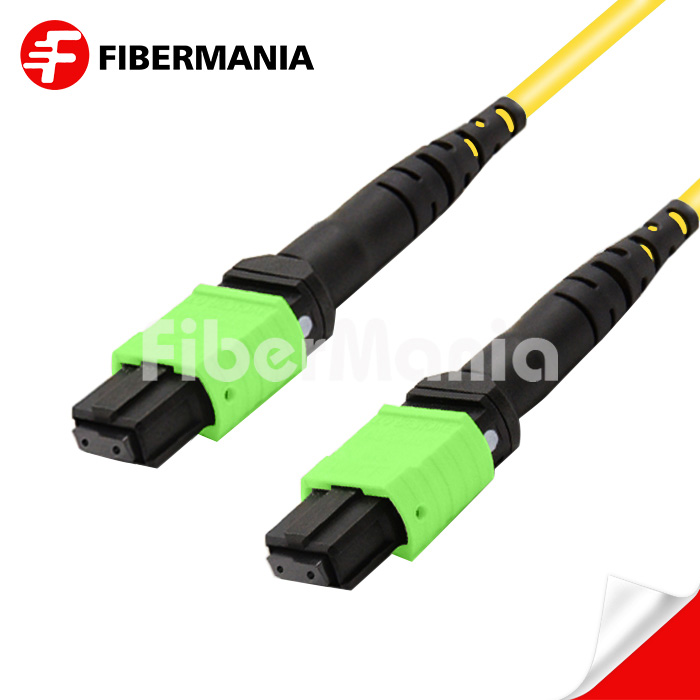 MTP/APC Female to MTP/APC Female Trunk Cable Assembly 12 Fibers Polarity A Single Mode 9/125 2M